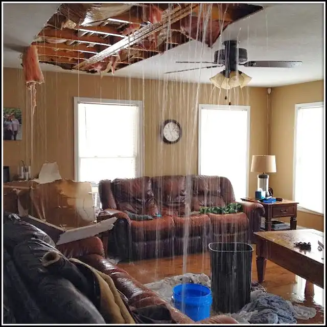 Water Damage Restoration services in Penitas, TX