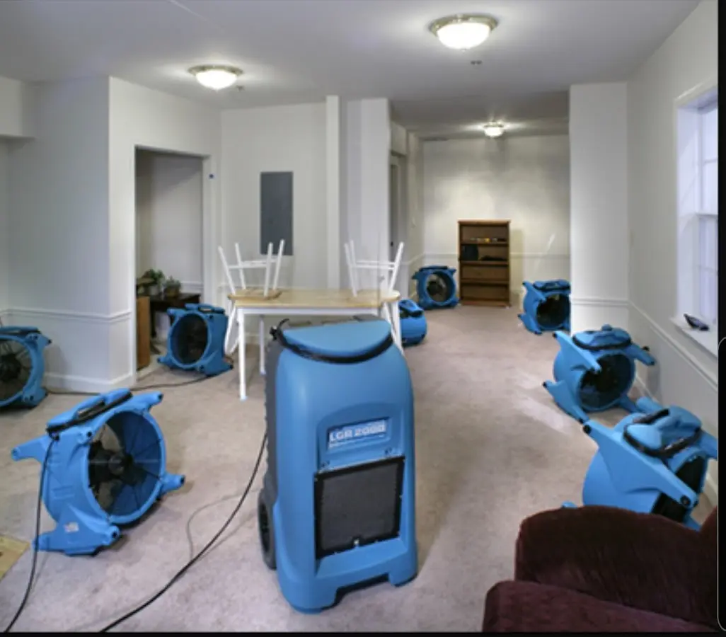Air movers and dehumidifier setup for Water Extraction & Removal in Penitas