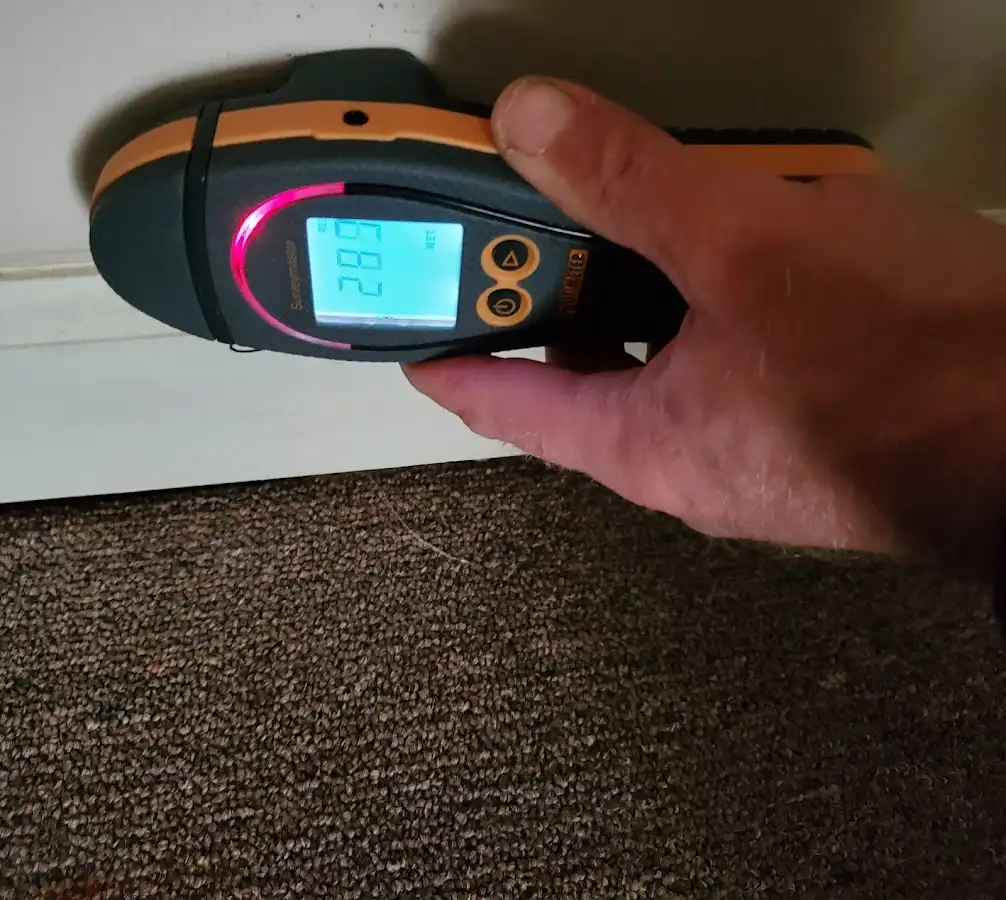 Moisture detection at baseboard during Mold Inspection & Testing in Penitas