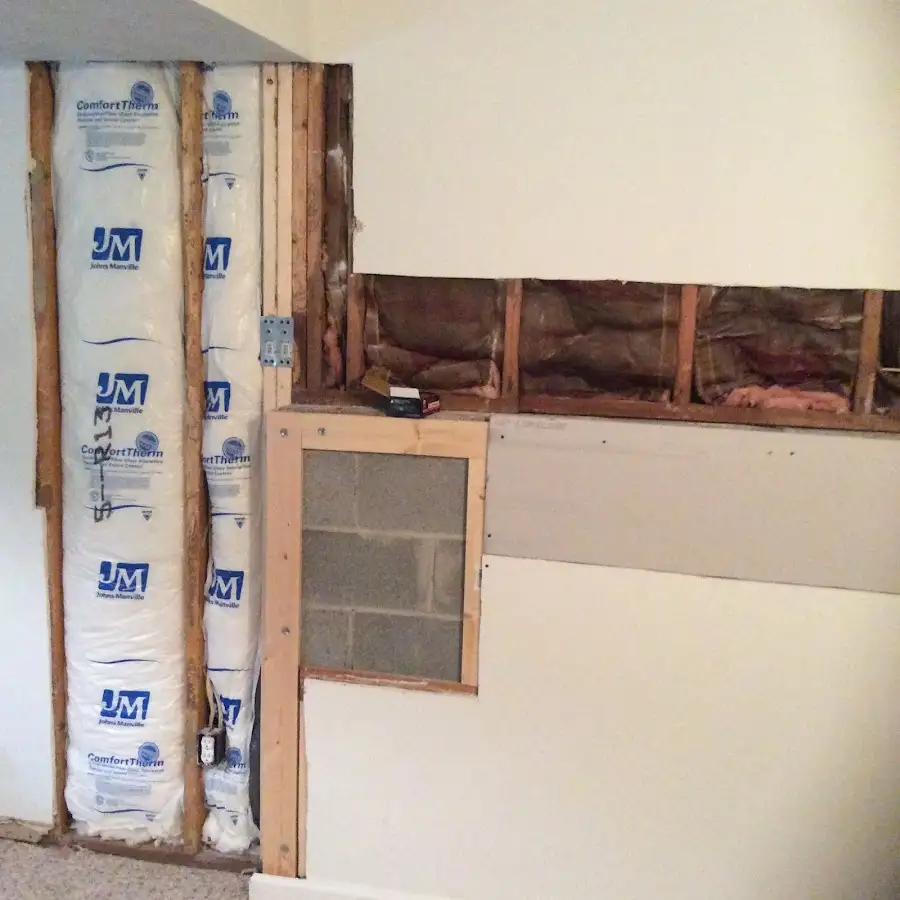 Wall insulation replacement during Odor Removal & Deodorization in Penitas